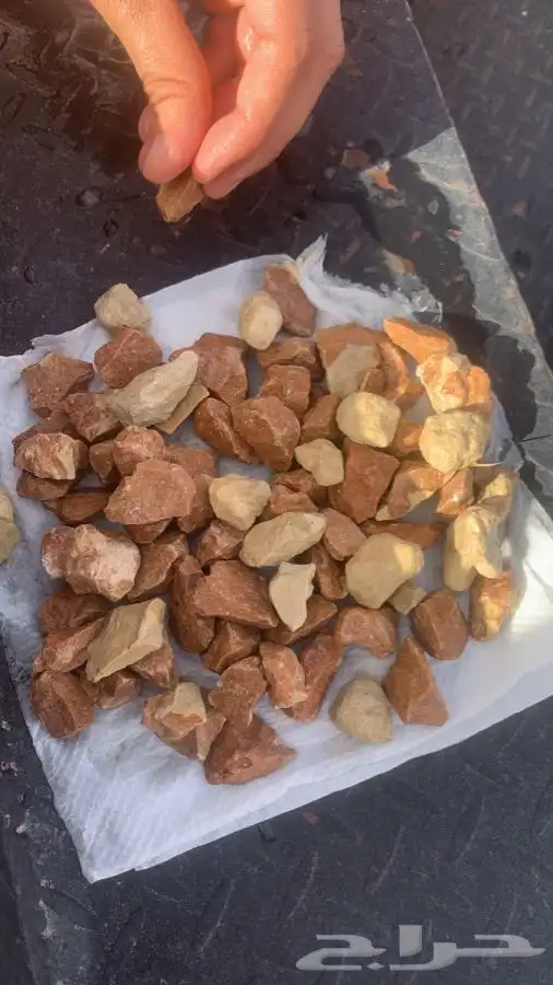 بحص ورمل توريد داخل تبوك وخارجها ومعتمد من نيوم 12