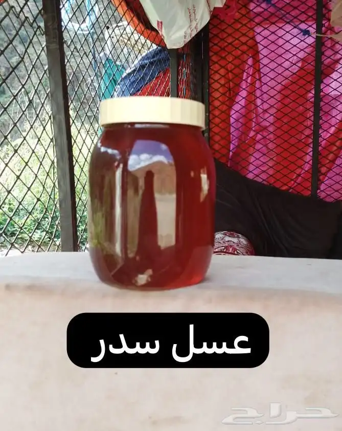 عسل سدر بلدي وعسل شوكه وعسل سمره وعسل مراعي 1