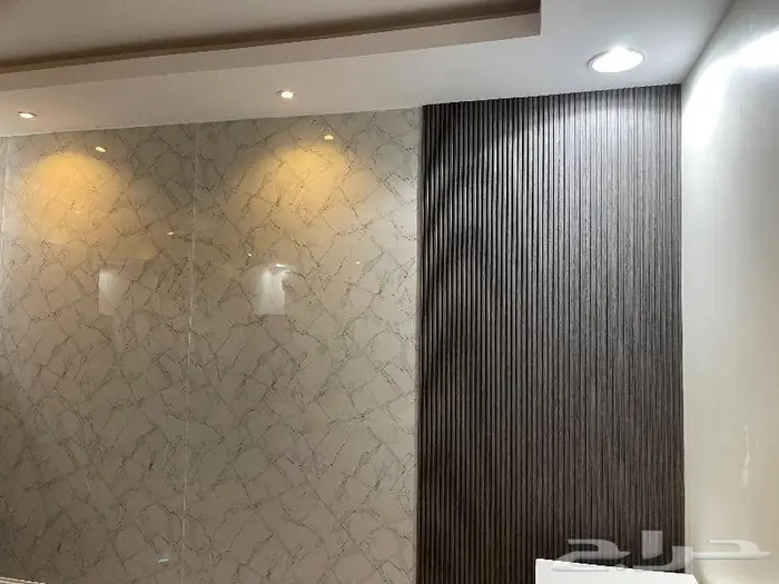 دهان كل أنحاء مدينة الرياض 3