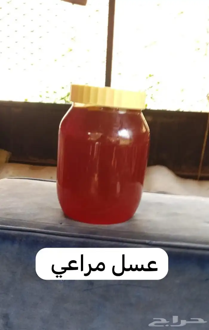 عسل سدر بلدي وعسل شوكه وعسل سمره وعسل مراعي 3