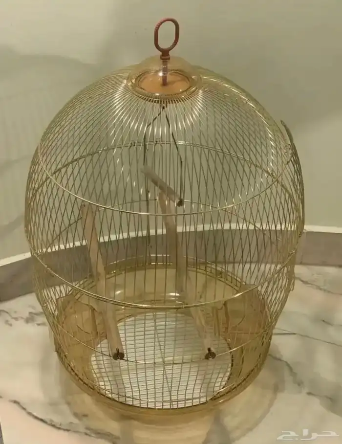 اقفاص حامل ستاند قفص عش كناري ابرة تغذية بيض صناعي للكناري 16