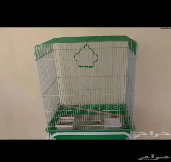 اقفاص حامل ستاند قفص عش كناري ابرة تغذية بيض صناعي للكناري 19