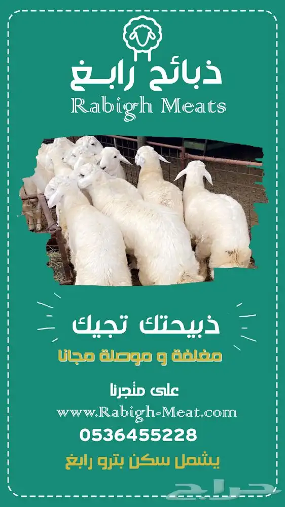 ذبيحتك لباب بيتك بالتقسيط - خليص عسفان غران 12