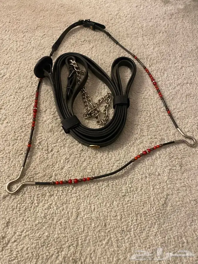 اغراض خيل جمال كامله 1