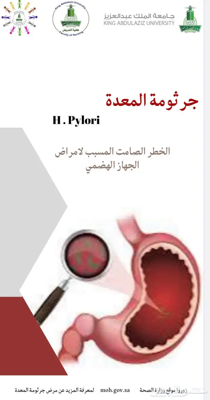تصميم ( بانر- بوستر-مطويات-برشور -منشورات ورقية) 3