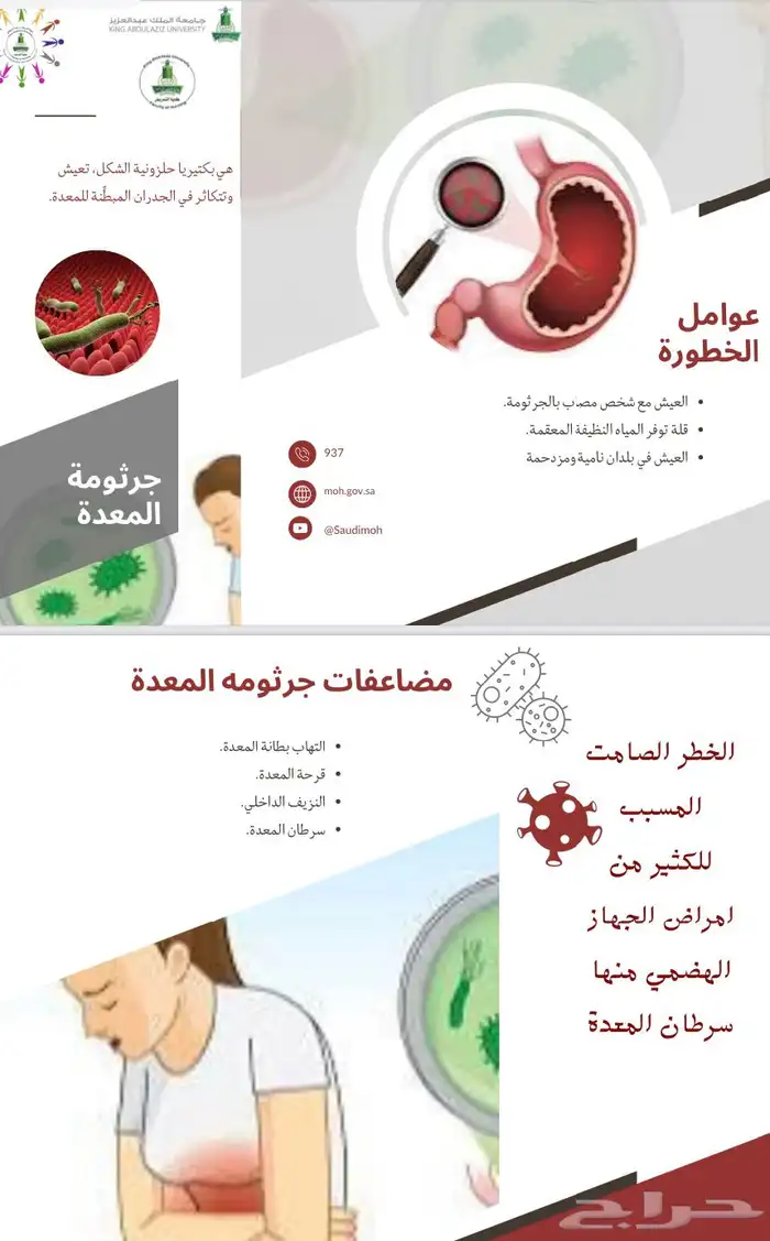 تصميم ( بانر- بوستر-مطويات-برشور -منشورات ورقية) 8