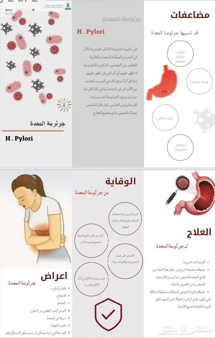 تصميم ( بانر- بوستر-مطويات-برشور -منشورات ورقية) 6