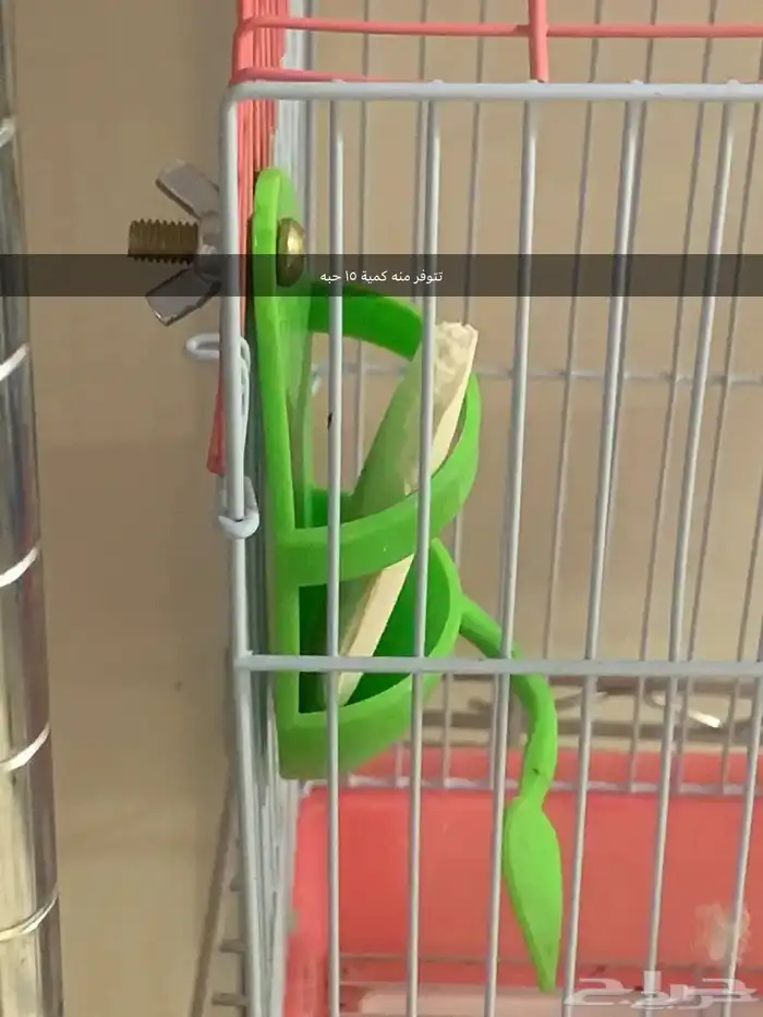 اقفاص حامل ستاند قفص عش كناري ابرة تغذية بيض صناعي للكناري 4