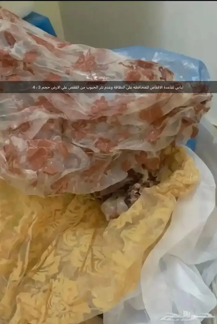 اقفاص حامل ستاند قفص عش كناري ابرة تغذية بيض صناعي للكناري 18