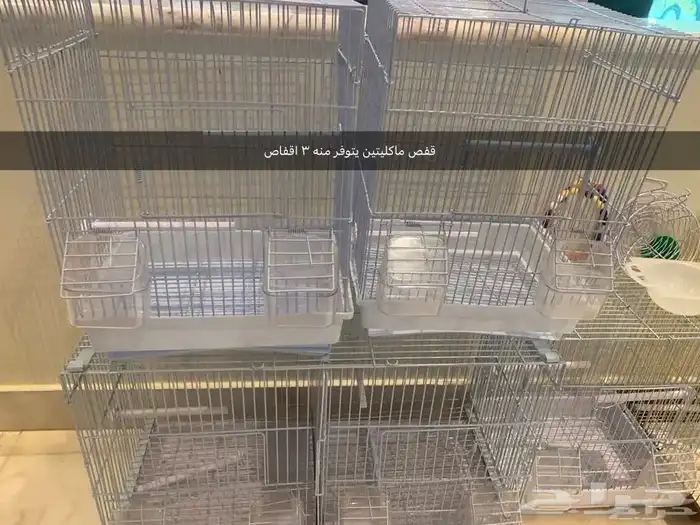 اقفاص حامل ستاند قفص عش كناري ابرة تغذية بيض صناعي للكناري 11