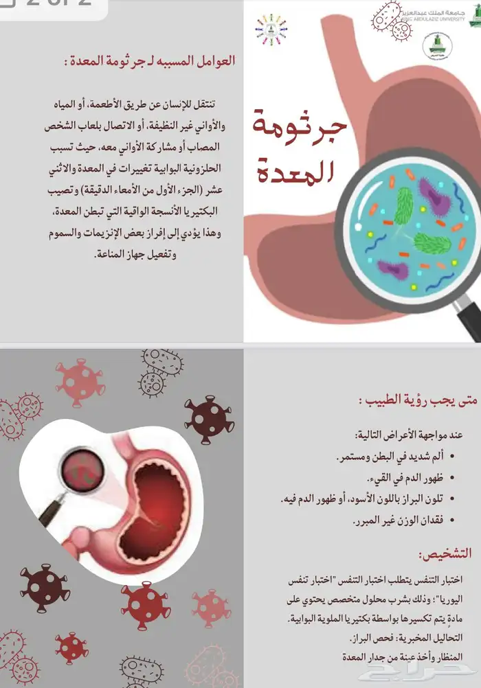 تصميم ( بانر- بوستر-مطويات-برشور -منشورات ورقية) 4