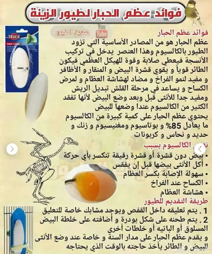 اقفاص-أبر غر- شرابات-أكالات-عظمة الحبار 4