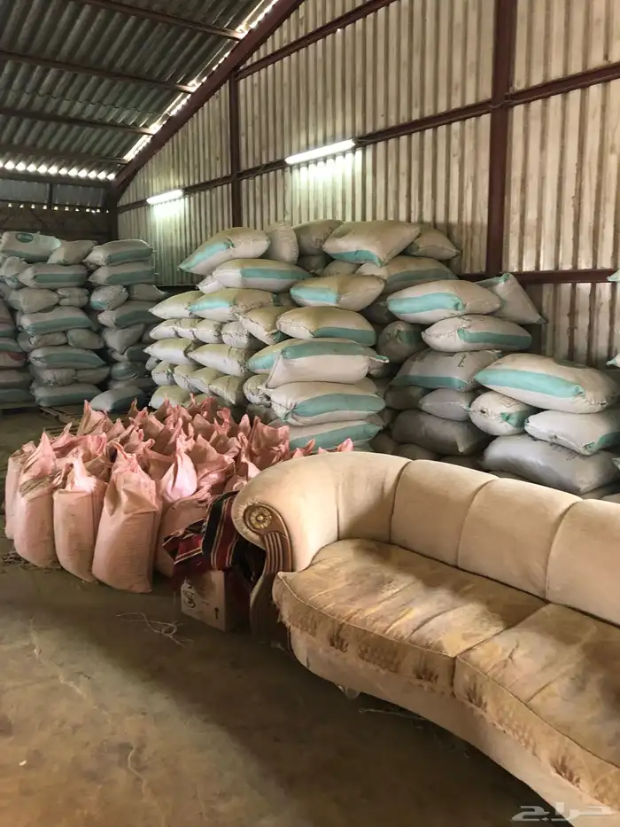 للبيع حناء المدينه المنوره وسدر جديد 3