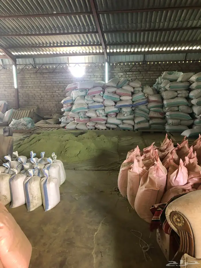 للبيع حناء المدينه المنوره وسدر جديد 2