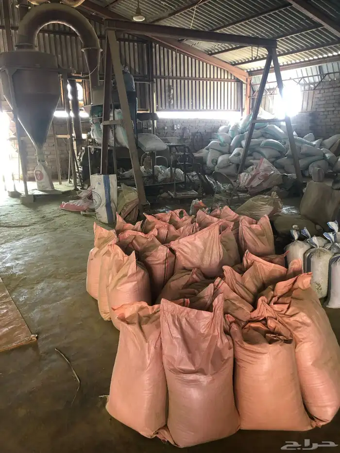 للبيع حناء المدينه المنوره وسدر جديد 5