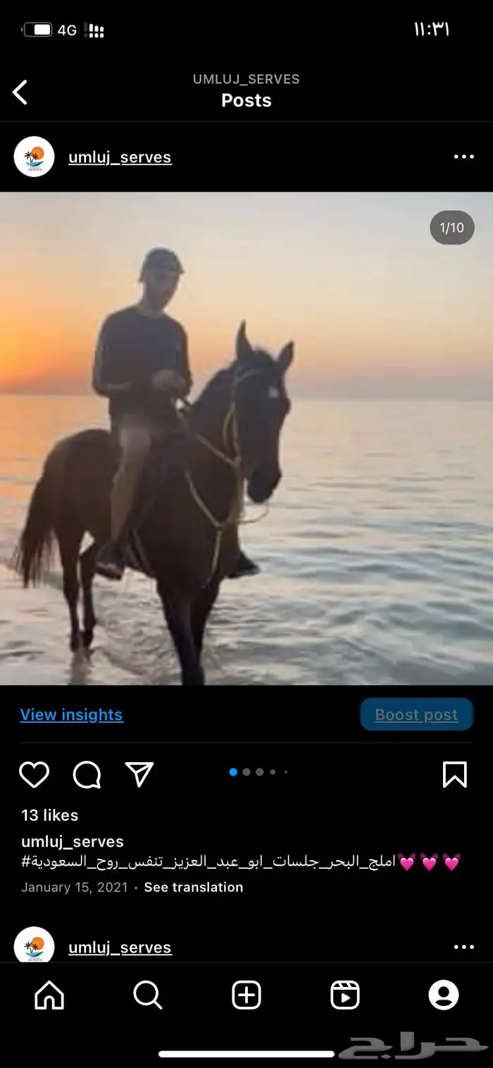 تاجير خيول على بحر املج وجولات ركوب الخيل في املج 5