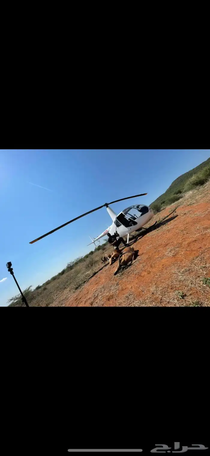 مقناص صيد غزلان شغل مرتب 0