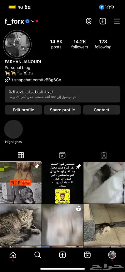 حساب خاص لعرض و انقاذ القطط والكلاب بالشرقيه 1