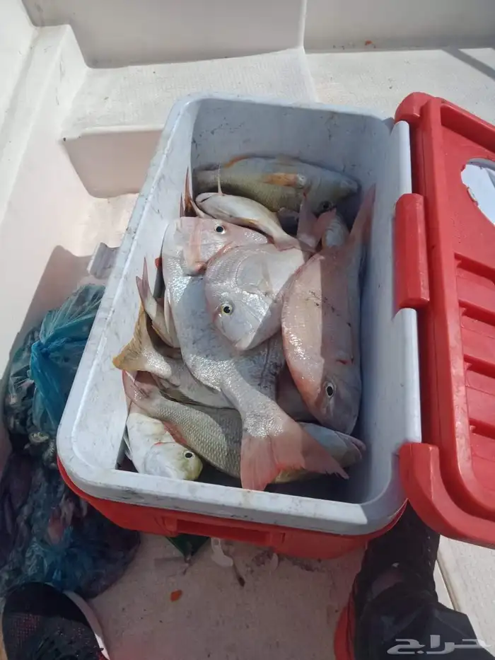 قارب للصيد و السباحة و النزهه 9