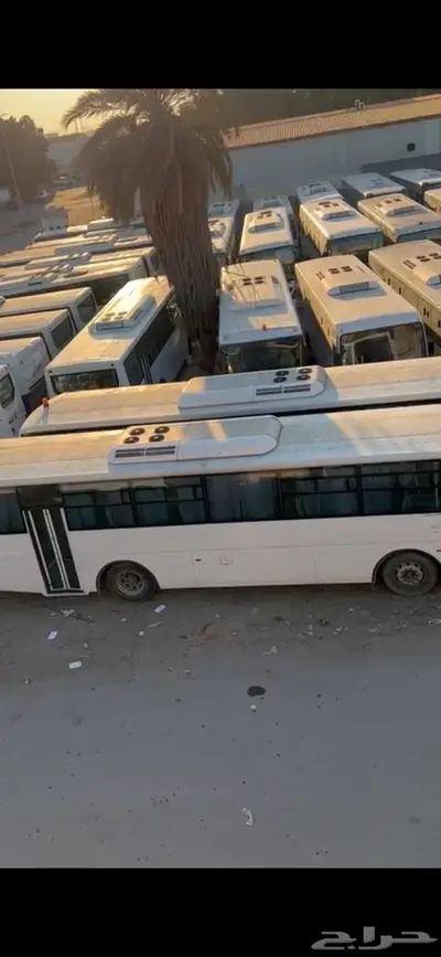 باصات للايجار او البيع 16