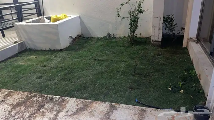 توفير ثيل طبيعي بانواع وتنسيق حدائق وتوفير الشتلات على الطلب 16