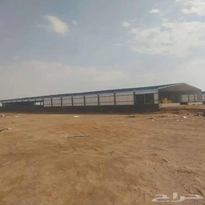 تركيب حضائر دواجن 6