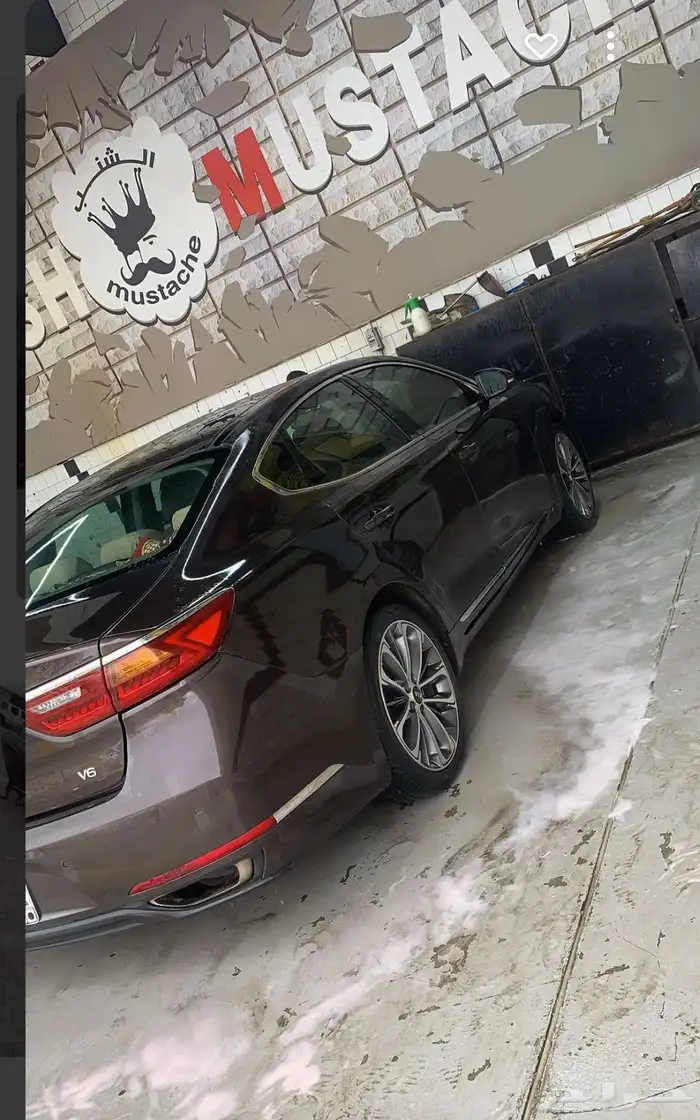 كادينزا 2017 1