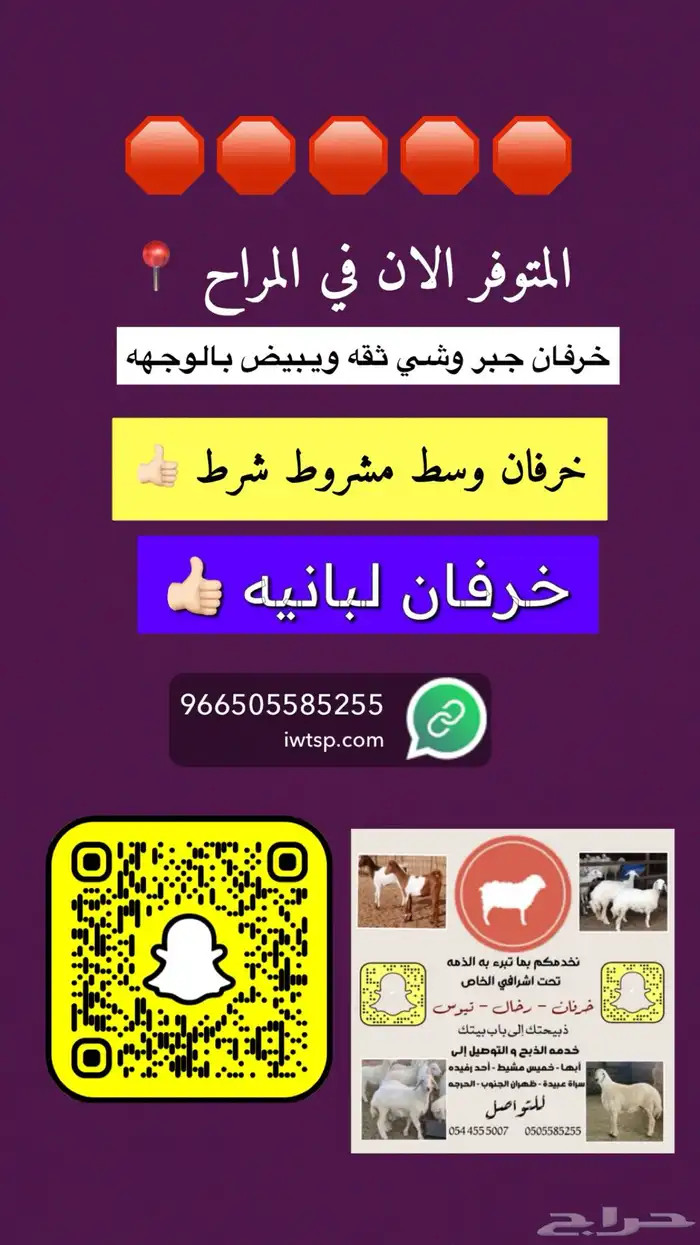 خرفان جميع الاحجام مع الذبح والتوصيل 0