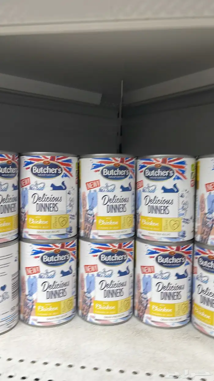 متجر Modi Birds 4