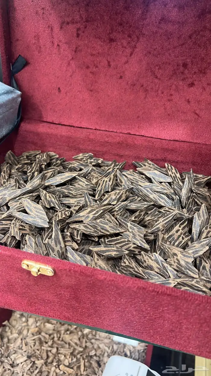 عود تايقر فيتنامي درجه اولى 0