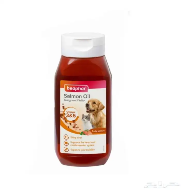 متجر Modi Birds 21