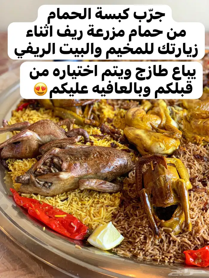 مخيم مزرعة ريف والبيت الريفي يوجد بركة سباحة للإيجار اليومي 10