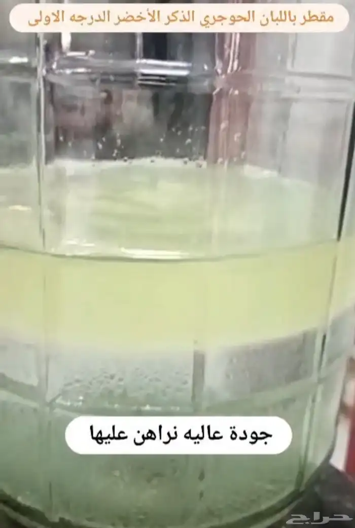 دهن اللبان الحوجري العماني المقطر جودة نراهن عليها بسعر جبا 2