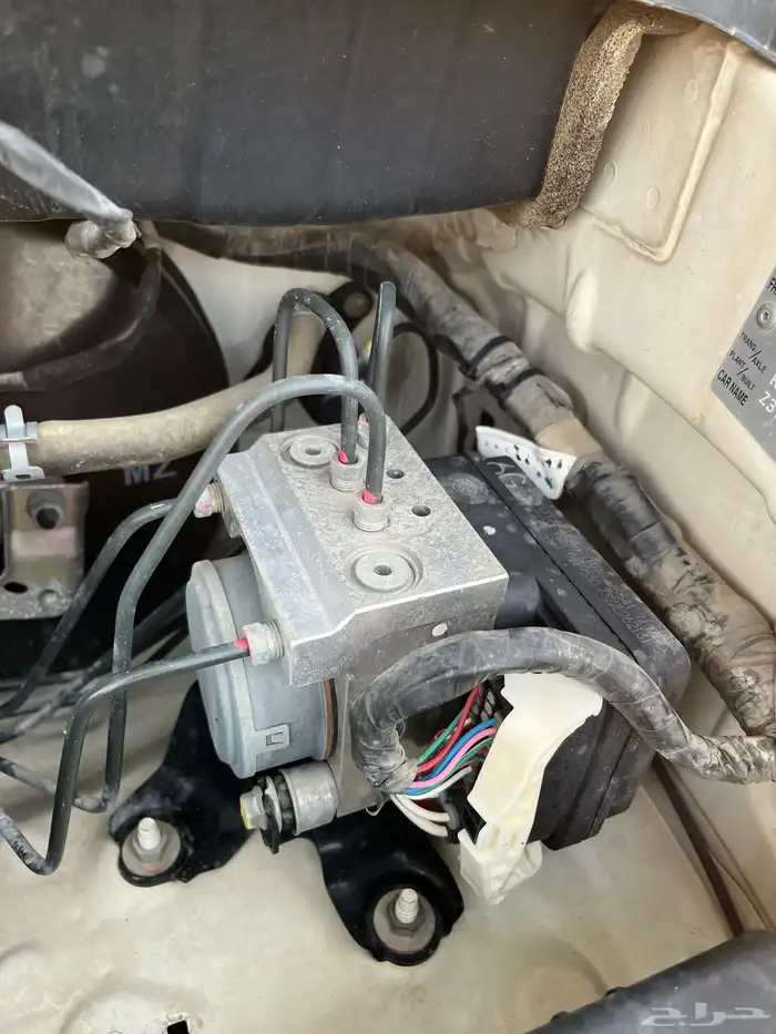 تم البيع الله يبارك للمشتري 26