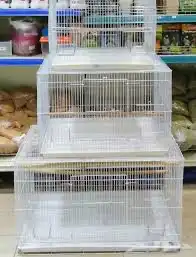 سيريلاك طيور غر مشربيه شبك كساح علاقه عظم حبار 9