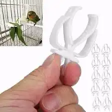 سيريلاك طيور غر مشربيه شبك كساح علاقه عظم حبار 10