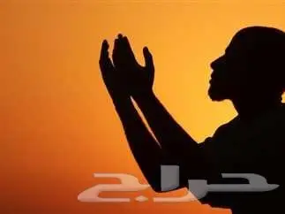 دعاء الضالة ابن باز وابن عثيمين دعاء لرد الضالة والمسروق 0