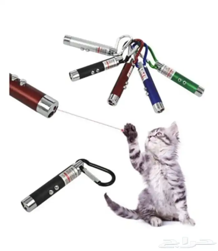 متجر Modi Birds 8