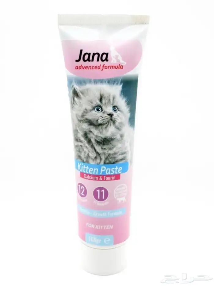 متجر Modi Birds 25