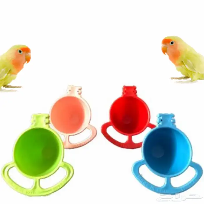 متجر Modi Birds 24