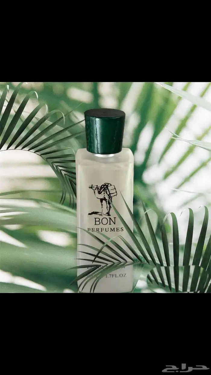 عطور بون فخمه هاديه للصيف وثابته لمدة يومين عطر نسائي ورجالي 5
