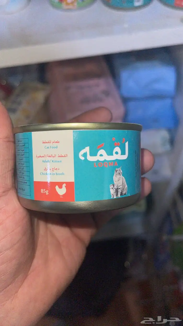 متجر Modi Birds 13