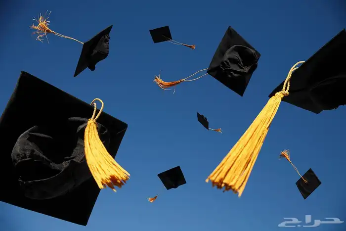 مشروع تخرج تلخيص عروض بوربوينت ابحاث برزنتيشن تكاليف بحث 0