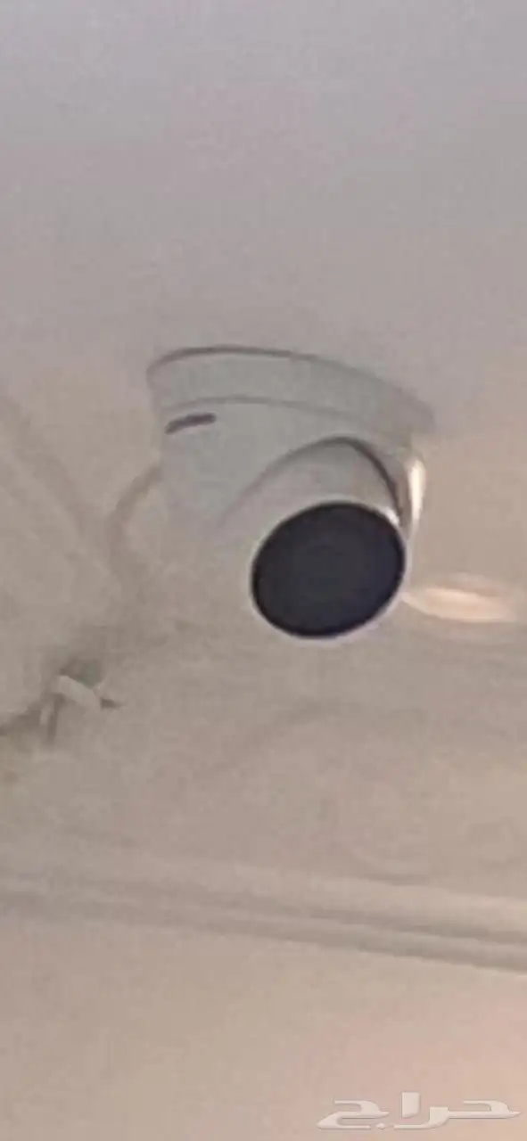 أغراض محل خضروات وفواكه للبيع 10