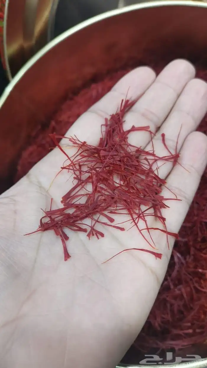 زعفران سعر الجملة 0