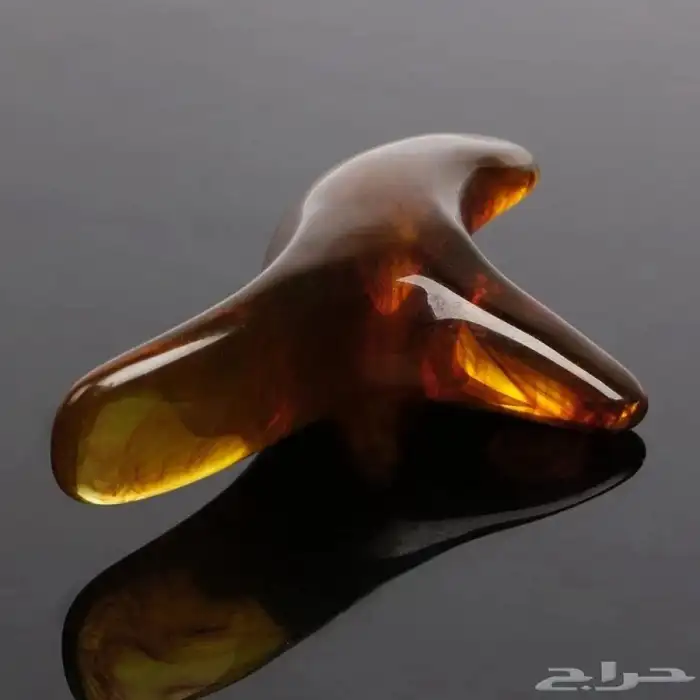 عصا وأداة تدليك اليد والقدمين ريفليكسولوجي 6