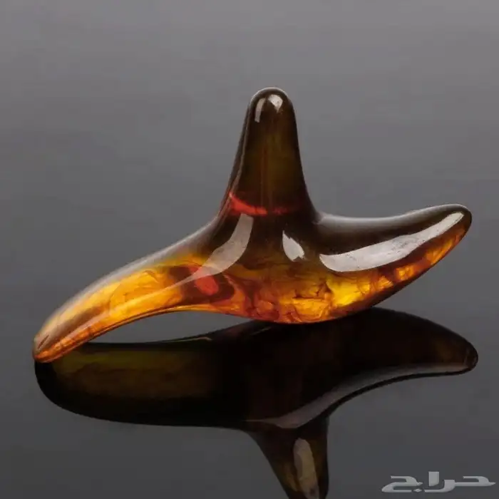 عصا وأداة تدليك اليد والقدمين ريفليكسولوجي 5