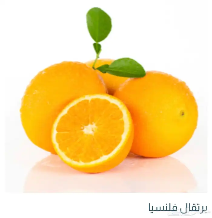 حمضيات 11