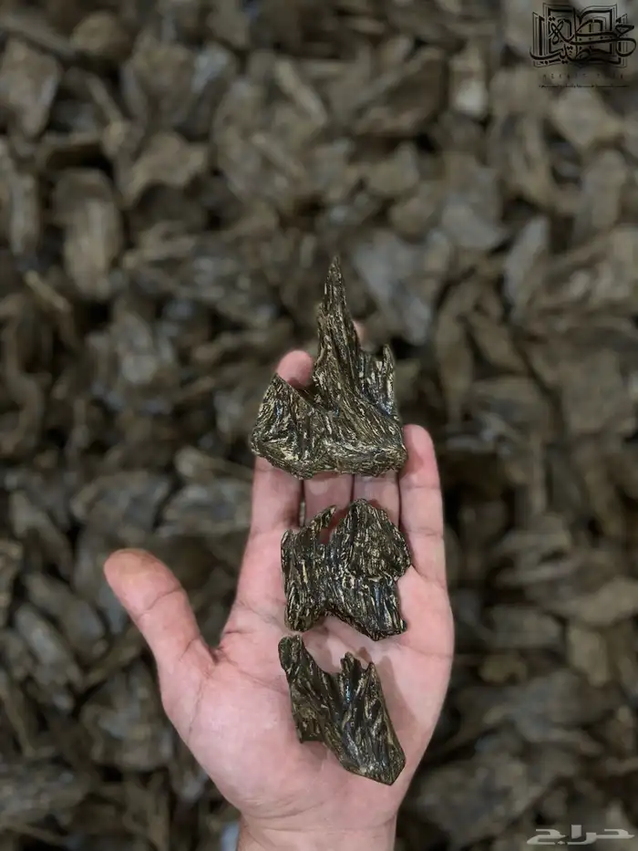 عود كلمنتان رويال طبيعي محسن (جمله) 1