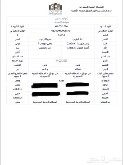 مهره واهو عربية اصيلة 3